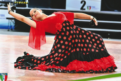 flamenco2
